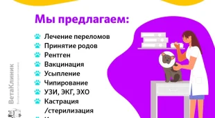 Вета фотография 2