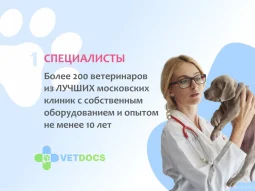 Ветеринарная клиника Vetdocs на улице Михалевича фотография 2