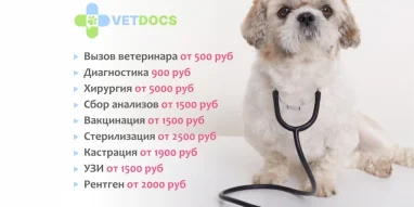 Ветеринарная клиника Vetdocs на улице Михалевича фотография 10