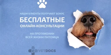 Ветеринарная клиника Vetdocs на улице Михалевича фотография 4