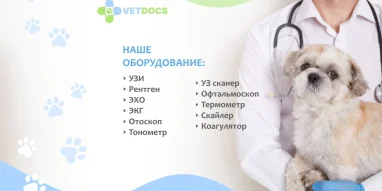 Ветеринарная клиника Vetdocs на улице Михалевича фотография 9