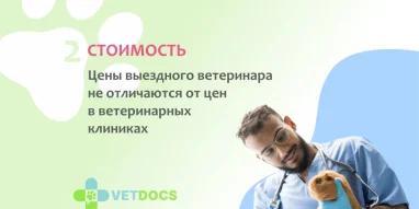 Ветеринарная клиника Vetdocs на улице Михалевича фотография 7
