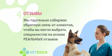 Ветеринарная клиника Vetdocs на улице Михалевича фотография 5