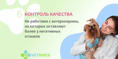 Ветеринарная клиника Vetdocs на улице Михалевича фотография 12